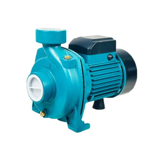 Modern Design 1HP Cgo High Quality Favorable Price Standard Motor Transfer Centrifugal Clean Water Pumps