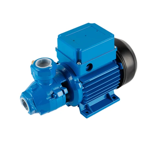 Durable High-Pressure Domestic Electric Water Pump Centrifugal Vortex Water Pump